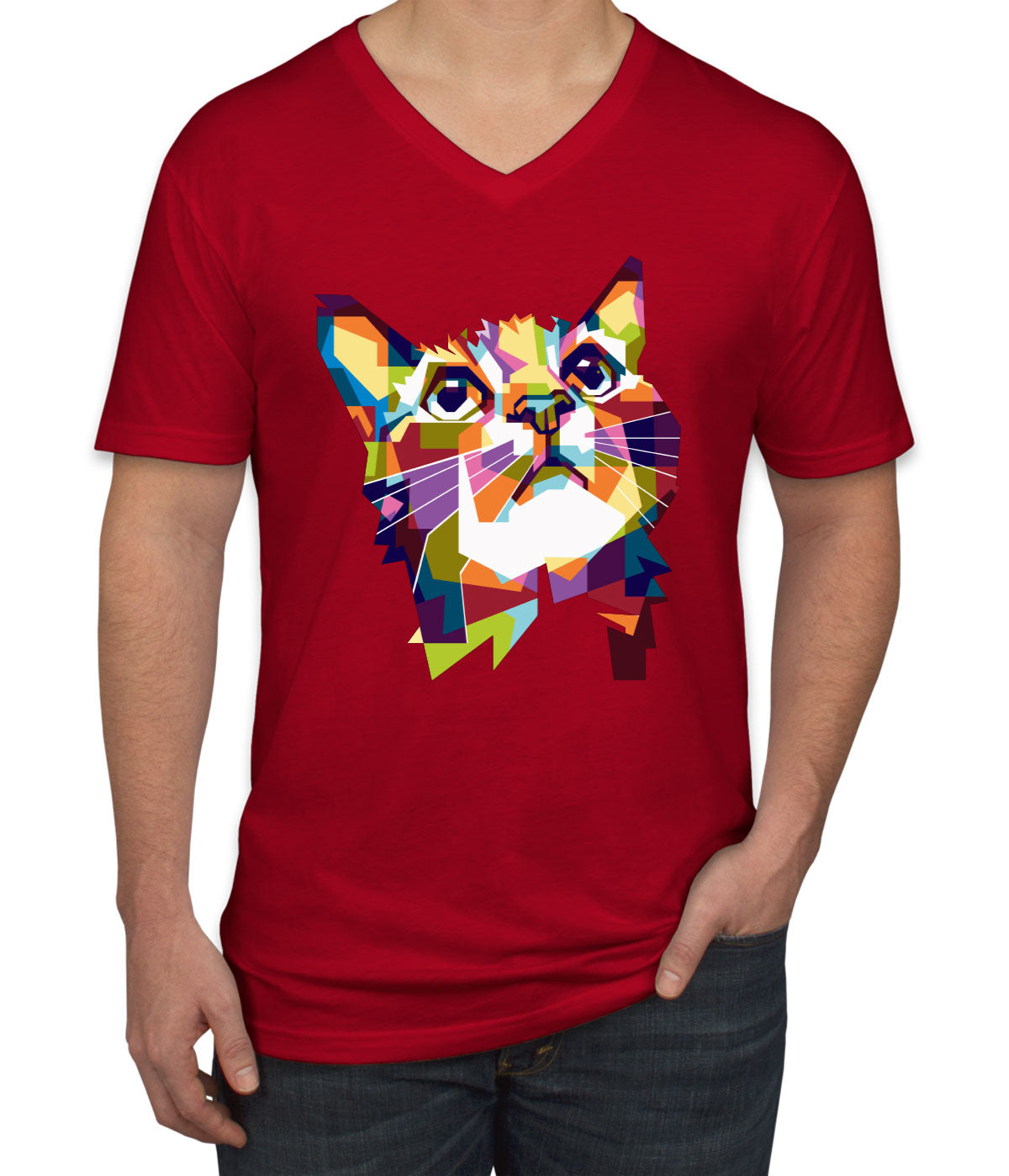 Colorful Cat Men's V Neck T-shirt