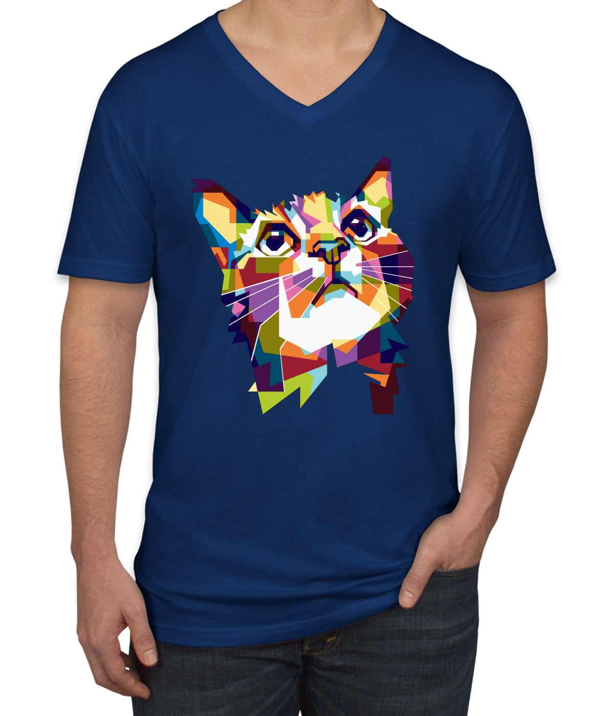 Colorful Cat Men's V Neck T-shirt