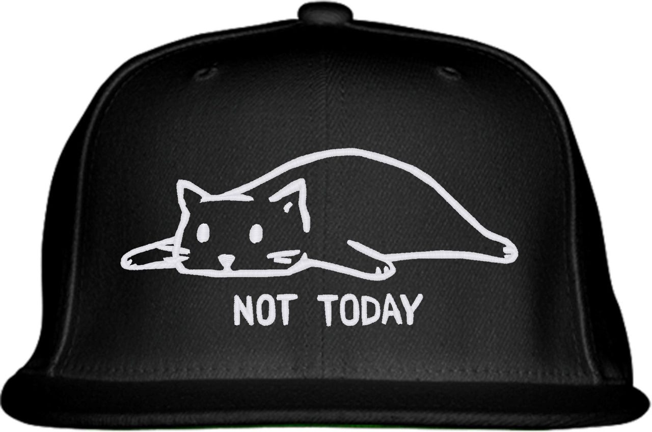 Not Today Cat Snapback Hat