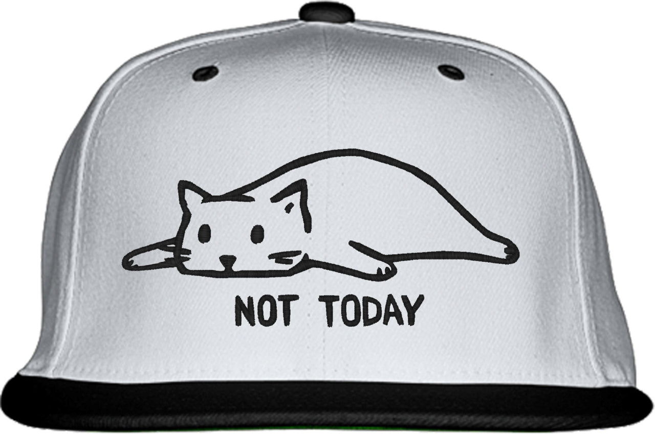 Not Today Cat Snapback Hat