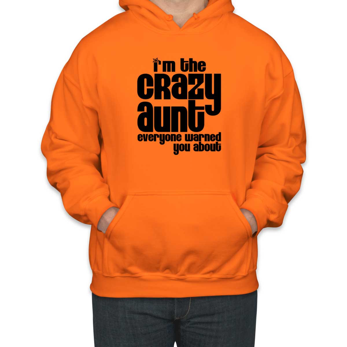 I'm The Crazy Aunt Everyone Warned You About Unisex Hoodie