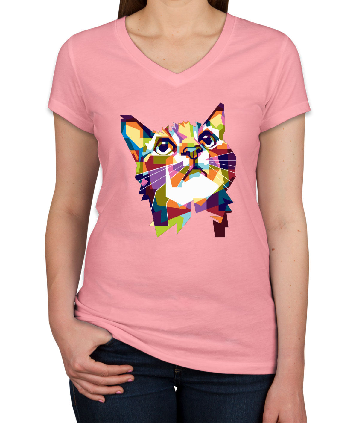 Colorful Cat Women's V Neck T-shirt