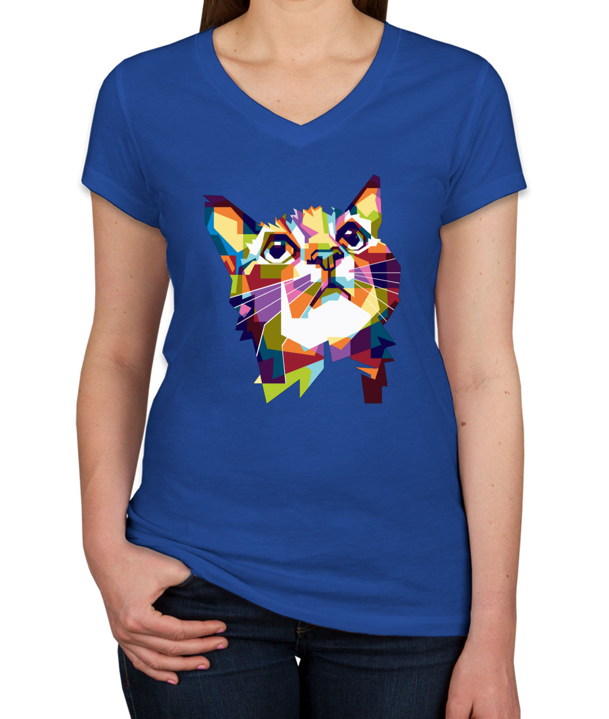 Colorful Cat Women's V Neck T-shirt